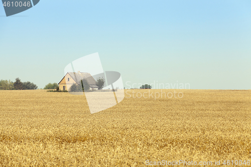 Image of The house is in the field