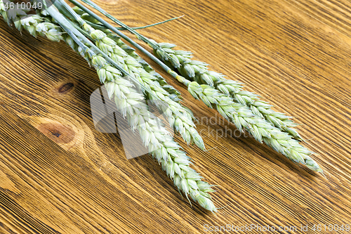 Image of green triticale