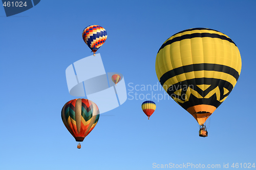 Image of Hot air balloons festival