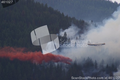 Image of Forest Fire Fighting A