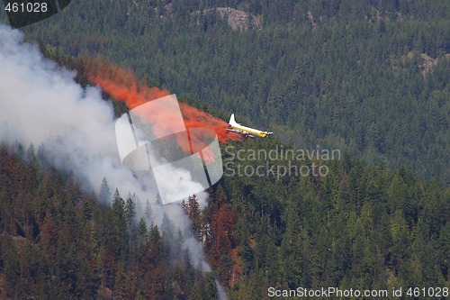 Image of Forest Fire Fighting B