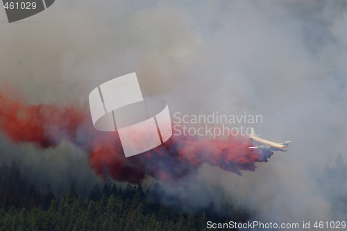 Image of Forest Fire Fighting C