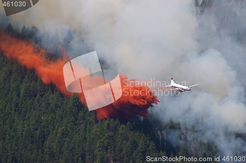 Image of Forest Fire Fighting D