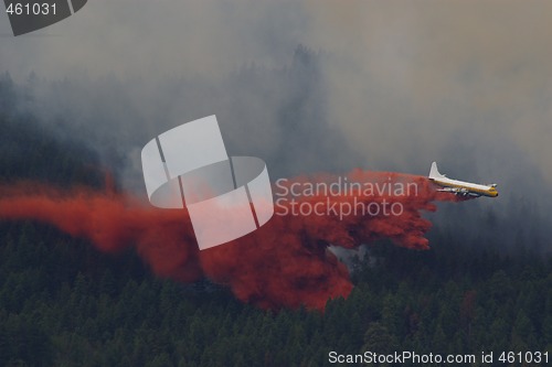 Image of Forest Fire Fighting E