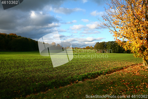 Image of autumn in Denmark