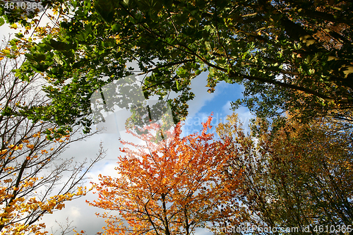 Image of autumn in Denmark