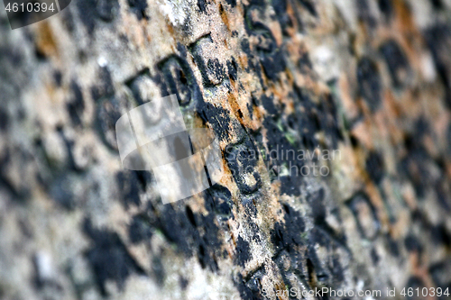 Image of Gravestone with writing on it