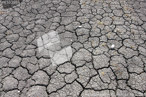 Image of Dried earth