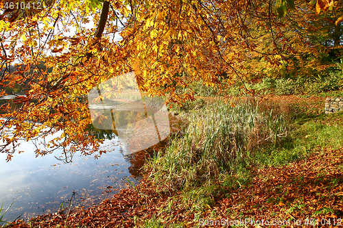 Image of autumn in Denmark