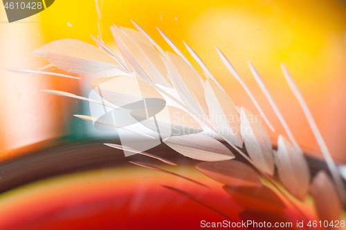 Image of Detail of a glass with red wine and bubbles