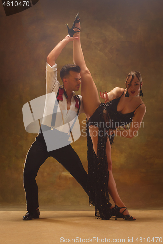 Image of Flexible young modern dance couple posing in studio.