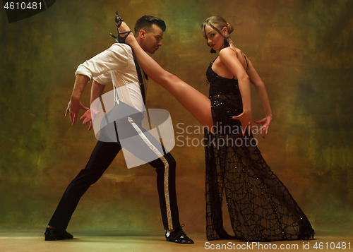 Image of Flexible young modern dance couple posing in studio.