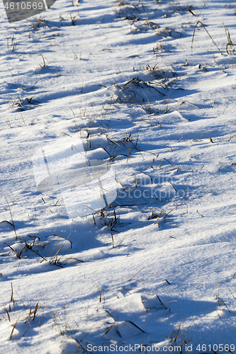 Image of Snow drifts in winter