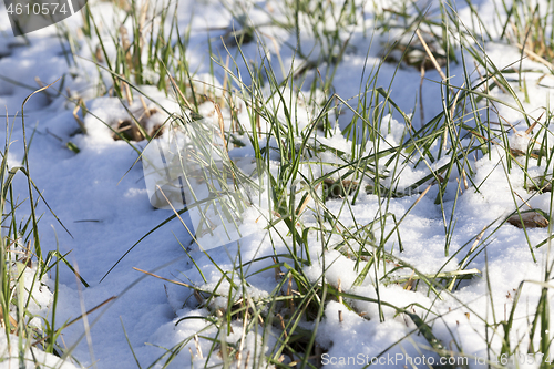 Image of Snow drifts in winter