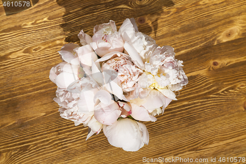 Image of Pink peony flower