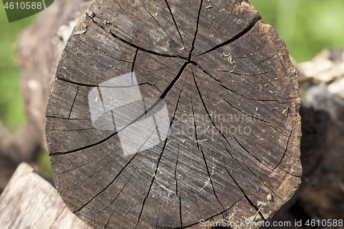 Image of Old logs, close-up