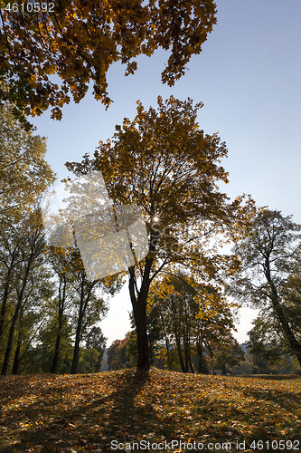 Image of Maple Park in autumn