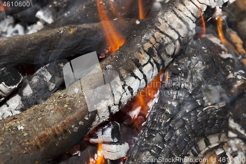 Image of Fire on logs