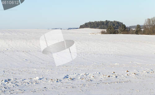 Image of plowed agricultural field covered by snow