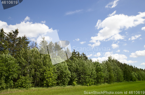Image of Nature landscape