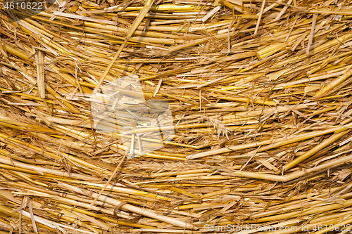 Image of Pile of dry straw