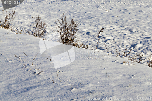 Image of Snow drifts in winter