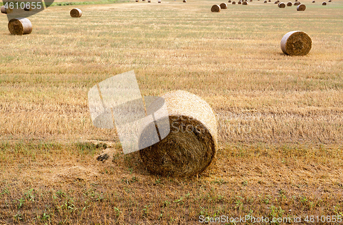 Image of stack of straw lying