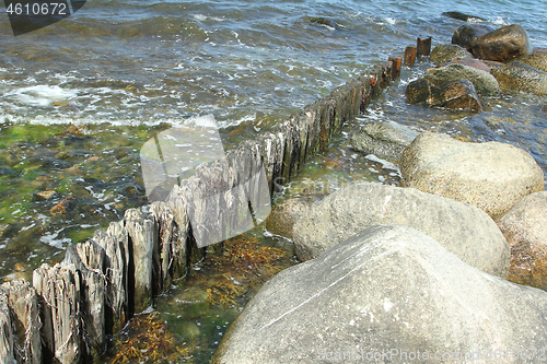 Image of Coast detail