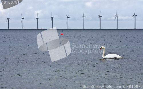 Image of Offshore wind power in the oeresund chanel 