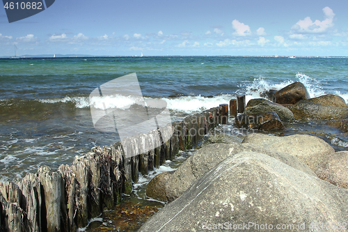 Image of Coast detail