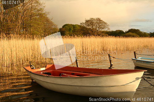 Image of Boats on the coast in Denmark