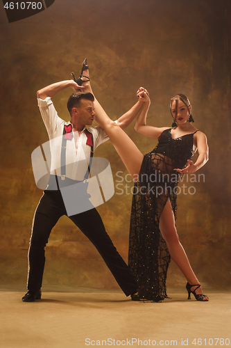 Image of Flexible young modern dance couple posing in studio.