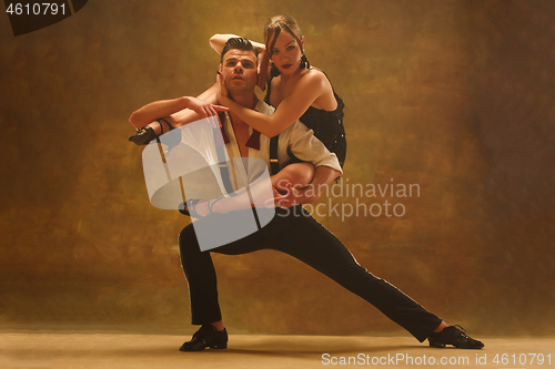 Image of Flexible young modern dance couple posing in studio.