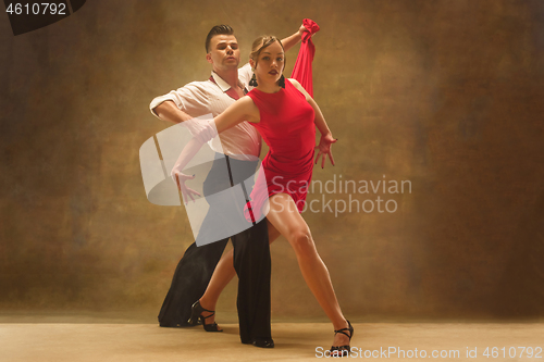 Image of Flexible young modern dance couple posing in studio.