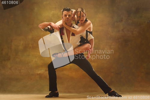 Image of Flexible young modern dance couple posing in studio.