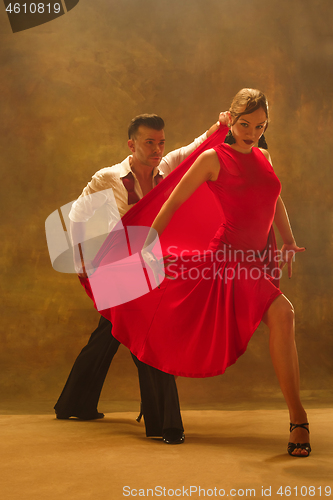 Image of Flexible young modern dance couple posing in studio.