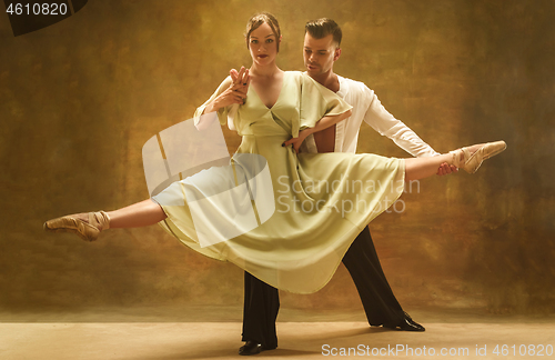 Image of Flexible young modern dance couple posing in studio.