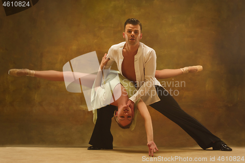 Image of Flexible young modern dance couple posing in studio.