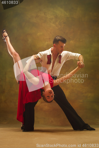 Image of Flexible young modern dance couple posing in studio.