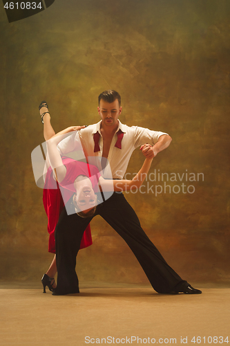 Image of Flexible young modern dance couple posing in studio.