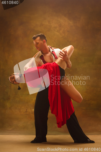 Image of Flexible young modern dance couple posing in studio.