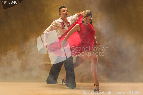 Image of Flexible young modern dance couple posing in studio.