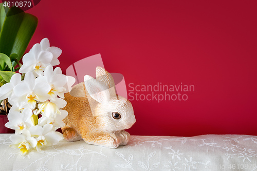Image of Easter decoration rabbit and orchid blossoms