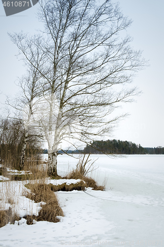 Image of winter scenery Osterseen