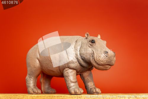 Image of hippopotamus figure isolated on red background