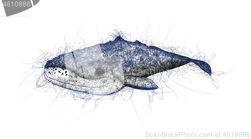 Image of whale doodle illustration