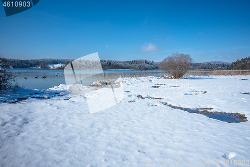 Image of Lake Osterseen Bavaria Germany winter scenery