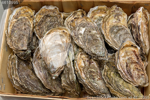 Image of Crate Oysters