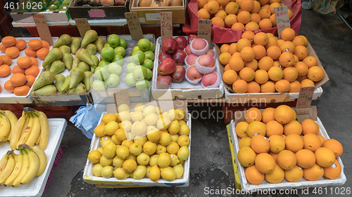 Image of Oranges