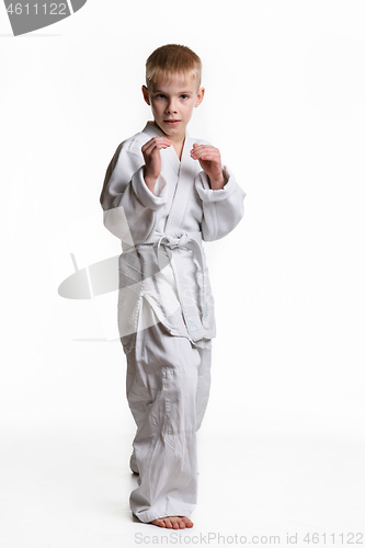 Image of A boy stands in a rack, studying martial arts